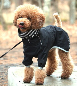 犬用ペット服 レインコート 小型犬用の人気商品 通販 価格比較 価格 Com