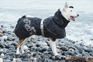 ペット服 レインコート 犬用 フルッタの人気商品 通販 価格比較 価格 Com ペット服 レインコート 犬用 フルッタの人気商品 通販 価格比較 価格 Com