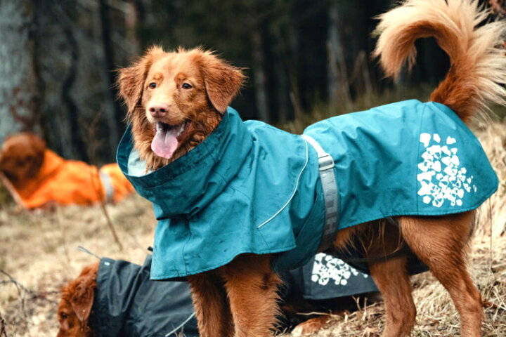 楽天市場 Hurtta フルッタ レインコート モンスーンコート 大型犬用 Karu Dog