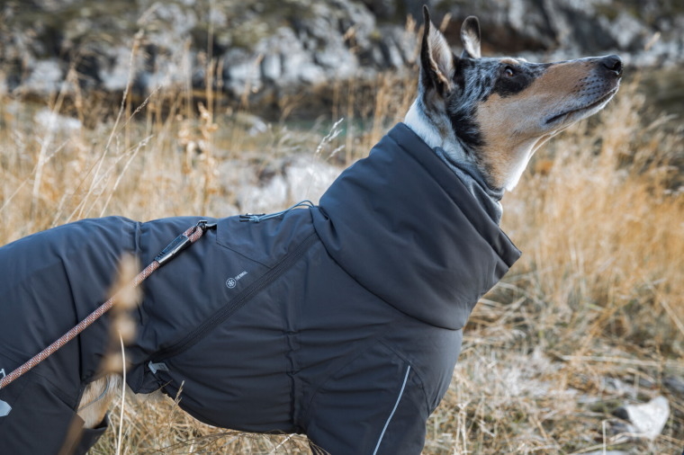 フィンランドのドッグブランド Hurtta フルッタ 輸入 オープニング 大放出セール 中型犬用 エクストリームオーバーオール 史上最強レベルの防寒オーバーオール
