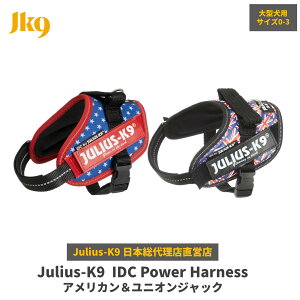 yJulius K9{㗝XcXzyzyJulius-K9zEXP[iCEIDCp[n[lX AJjIWbN TCY0`TCY3@`^p