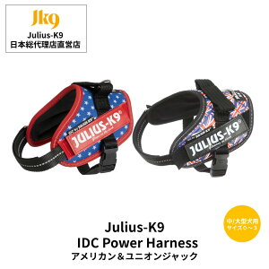 yJulius K9{㗝XcXzyzyJulius-K9zEXP[iCEIDCp[n[lX AJjIWbN TCY0`TCY3@`^p