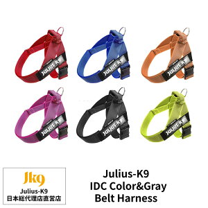 �yJulius K9���{���㗝�X���c�X�z�yColor&Gray�V���[�Y�zIDC�x���g�n�[�l�X