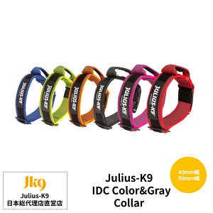 �yJulius K9���{���㗝�X���c�X�z�yColor&Gray�V���[�Y�zIDC Color&Gray ��ցi�n���h���t���j