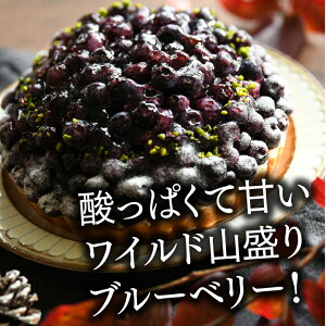 yⓀz ^gP[L _peBX[̂Ղy򍂌u[x[^g5TCYi4]6lj u[x[ aP[L ^g o[Xf[P[L  a j M