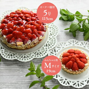 yE①zyeqZbg5TCY{pz}}Ƃy򍂌n^g