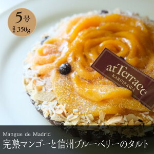【冷凍】軽井沢農園パティスリーから完熟マンゴーと信州ブルーベリーのタルト5号(4-6人分)完熟マンゴー マンゴータルト 誕生日 お祝い ギフト 軽井沢 完熟 プレゼント 農園