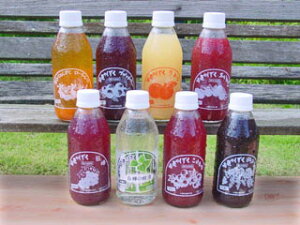 yőlC􍂌̂@nʎ ei\tghN20{Zbgyzʉi