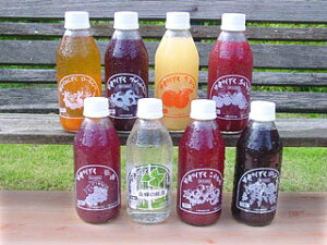 yőlC􍂌̂ MtgZbgnʎ ei\tghN4{Zbg y݁zʉi