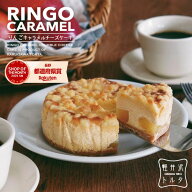 人気商品／リンゴキャラメルチーズケーキ 4号サイズ (直径約12cm 2〜4人前) 軽井沢トルタ お取り寄せ ス…