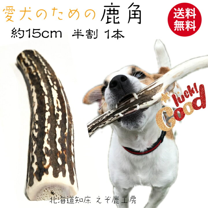 楽天市場 鹿の角 犬 おもちゃ 鹿角 長持ち 国産 北海道 長さ約15cm 半割 1本 天然 エゾ鹿角 グッズ 玩具 デンタルケア ガム 歯磨き 小型犬 中型犬 大型犬 愛犬スティック 角 しか えぞ鹿 歯周病 えぞ鹿工房カルペ