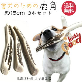 楽天市場 犬 ガム 長持ちの通販