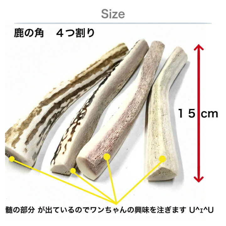 楽天市場】鹿の角 犬 おもちゃ 15cm 4つ割り 1本 鹿角 小型犬 国産 
