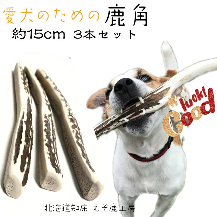 楽天市場 鹿の角 犬 おもちゃ 長さ約15cm 4つ割り 3本セット エゾシカの角 鹿角 長持ち 国産 北海道 知床 天然 エゾ鹿角 玩具 デンタルケア ガム 歯磨き 小型犬 しか えぞ鹿 歯周病 えぞ鹿工房カルペ