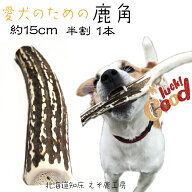 鹿の角 犬 おもちゃ 鹿角 長持ち 国産 北海道 長さ約15cm 半割 1本 天然 エゾ鹿角 グッズ 玩具 デンタル…