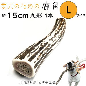 ̊p  p 15cm ی^ LTCY 1{ Y kC VR G] p ߋ f^PA K  ^ ^  XeBbN  {[ p VJ cm  a