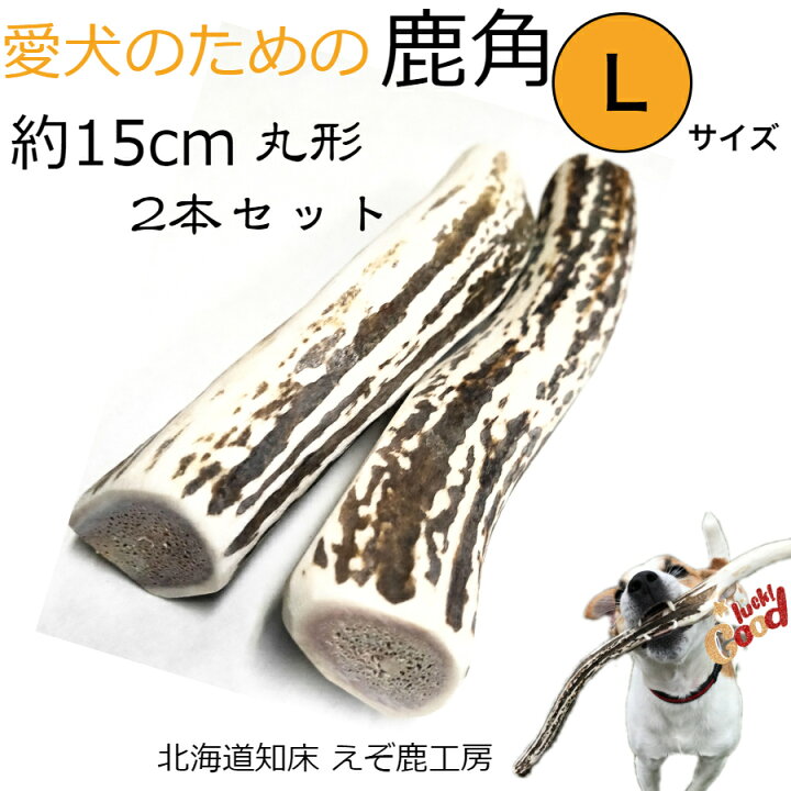 くまの牙/魔除け/北海道で購入 楽天市場】鹿の角 犬 長さ15cm 丸型 L 