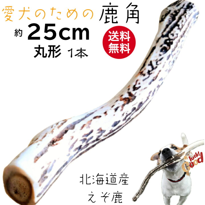 楽天市場】鹿の角 犬 25cm 鹿角 長持ち 国産 北海道 知床 丸型 1本 