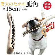 鹿の角 犬 おもちゃ 15cm 4つ割り 1本 鹿角 小型犬 国産 北海道 天然 エゾ鹿角 玩具 デンタルケア ガム …