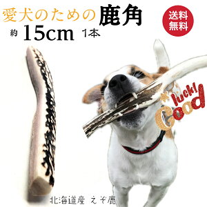 ̊p   15cm 4 1{ p ^ Y kC VR G]p ߋ f^PA K  G]VJ  XeBbN  {[ p a N ybg  t[h h~ 