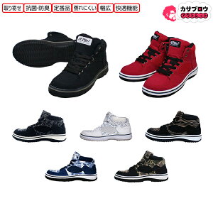 SC nCJbg ƌC Z[teBXj[J[ [NV[Y 쑽 MG5590 Ɨp d RC L R hL L