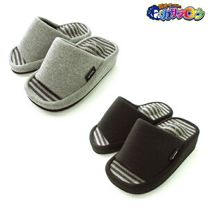 yoׁz ItBXT_ fB[X [with] NWAA7904 r_CGbgXbp Xbp  킢 