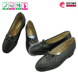 yoׁz VjA җp V[Y EH[LOV[Y JWA nr wl fB[X V[Y Xb| Nm Lupinus 4003 y {  hV̓ ag 