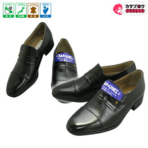 VjA җp JWAV[Y Y am NORDINI L^W} 1120 vC L { {v y  ̓v[g