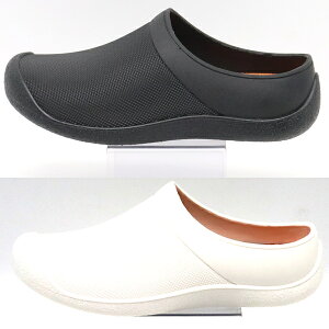 yoׁz hNbO ƌC یMDM61