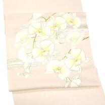 楽天市場】胡蝶蘭 帯の通販