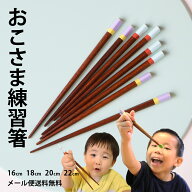 【4/17まで限定！最大100％ポイントバック※要エントリー】箸 子供 練習 三角 先角 16cm 18cm 20cm 22cm …