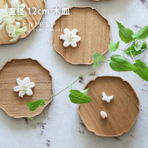 Forest ؎M a 12cm M { ؐ M v[g M XM َqM fU[gv[g VR Y^  NAR[eBO a_ towan 킢  Vv zO 