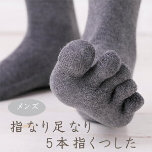 qwȂ葫Ȃ5{w@YrN[ D { 5{w\bNX MV^ VN Rbg Mtg   ₦Ƃ lw  D Ȃ  NX}X 