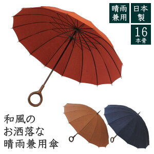 yz{@ȃvg16{JpP@P@p\@v@@i@H@h@a@fB[X@v[g@Mtg@@ʋ΁@ʊw@a@