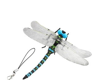 Ij}  12cm u[ A tBMAg{ ɂ  Sst Xgbvt 悯 I悯  Lv oR ނ  x_ nCLO