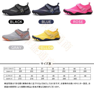 }V[Y EH[^[V[Y X|[cV[Y r[`V[Y g[jOV[Y Y fB[X ANAV[Y p oR jp JWA yʒʋC tBbglX