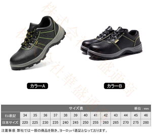 SC ƌC Ȃ Y fB[X   ZteB[V[Y SXj[J[ ʋC c |c ܐK[h C ₷ Ȃ ɂ ݔh