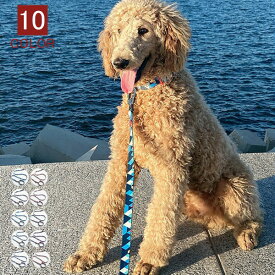 リード 首輪 犬用 中型犬 大型犬 小型犬 スプリング ペット 通気性 リード ハーネスセット ドッグラン おしゃれ かわいい お散歩 脱着簡単 衝撃吸収 トレーニング 外出 お洒落 安全 メール便