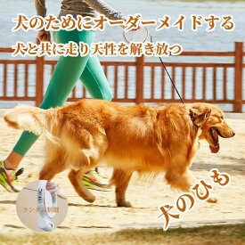 犬 リード 伸縮リード ロングリード 反射機能 小型犬 中型犬 大型犬 犬用 おすすめ 定番 頑丈 反射 長い 散歩 おしゃれ かわいい ペット用品