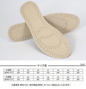 C\[ 2_Zbg C~ v {v NbV Ռz ʋC ᔽ ̌^ ɂ NbV Ε  s  C CPApi [