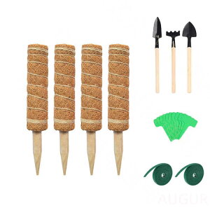 RRp[XeBbN Zbg A x  RR XeBbN 50cm 40cm 30cm Xe ϗtA Ax K[f |p |xp[c \ A  ؐ RRibcx 