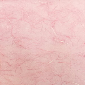 VFoꁙyqJ[z100aIS15F̖LxȃJ[Ŏg낢wNNqx킢 q F C  fUCq JZaH