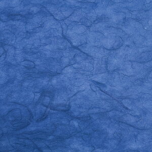 VFoꁙyqJ[z100aIS15F̖LxȃJ[Ŏg낢wNNqx킢 q F C  fUCq JZaH