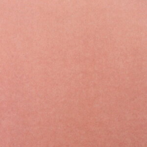 ���V�F�o�ꁙ����18�Fx�Ж�12�F �S30��ށy�v���J�t�B������q�J���[ 95cmx0.61mx1�����z�j��ɂ��� �j��Ȃ� ��q�� �F �J���[ �f�U�C����q �t�B���� �v���X�`�b�N��q�� �J�Z���a���H��