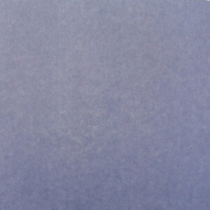 ���V�F�o�ꁙ����18�Fx�Ж�12�F �S30��ށy�v���J�t�B������q�J���[ 95cmx0.61mx1�����z�j��ɂ��� �j��Ȃ� ��q�� �F �J���[ �f�U�C����q �t�B���� �v���X�`�b�N��q�� �J�Z���a���H��