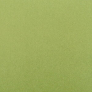 ���V�F�o�ꁙ����18�Fx�Ж�12�F �S30��ށy�v���J�t�B������q�J���[ 95cmx0.61mx1�����z�j��ɂ��� �j��Ȃ� ��q�� �F �J���[ �f�U�C����q �t�B���� �v���X�`�b�N��q�� �J�Z���a���H��