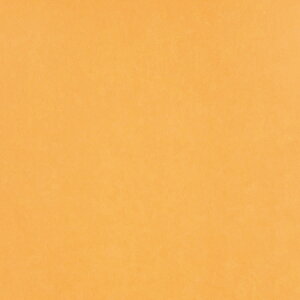 VFoꁙ18FxЖ12F S24ށyvJtBqJ[ 95cmx1.85mx1zjɂ jȂ q F J[ fUCq tB vX`bNq JZaH