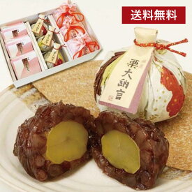《送料無料》 和菓子 みなくち3個栗大納言3個珠の栗3個 「赤朽葉」 お供え 法事 志 香典返し お彼岸 お歳暮 栗 お菓子 詰め合わせ ギフト 栗菓子 即日発送 人気 誕生日 プレゼント お祝い 内祝 お返し スイーツ お取り寄せ お見舞い 初節句 老舗 高級 滋賀 お土産 大彌