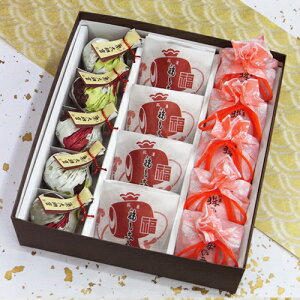 aَq I[5Ȃ4̌I5   u e{ @ ފ Mtg lߍ킹 I  َq j j  Ԃ a v[g XC[c V ꌧ b