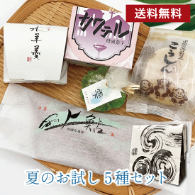 《送料無料》夏季限定 5種類！色々な和菓子を少しずつお試し(袋入り商品) 水羊羹 カクテル こうしん 雫 やす川上鮎 お中元 夏ギフト 即日発送 和菓子 お菓子 仏事 年忌 お供え 志 粗供養 誕生日 プレゼント スイーツ 鮎 高級 老舗 滋賀県 甲賀 水口 プチギフト 菓子 大彌